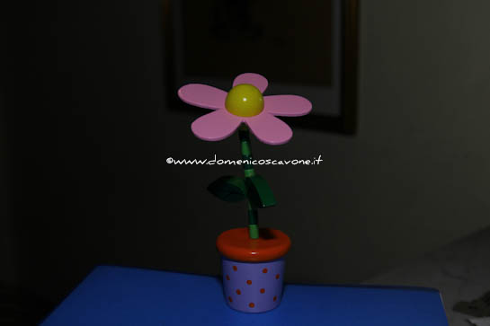 L'uso del flash: 1/2500s f4.5